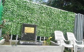 Mateoasis